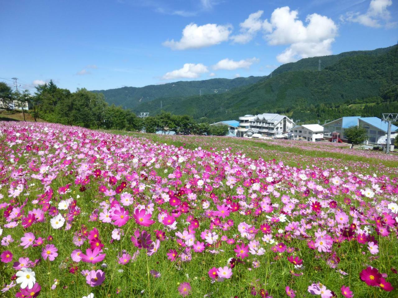 Hotel Joyful Honoki Takayama  Esterno foto